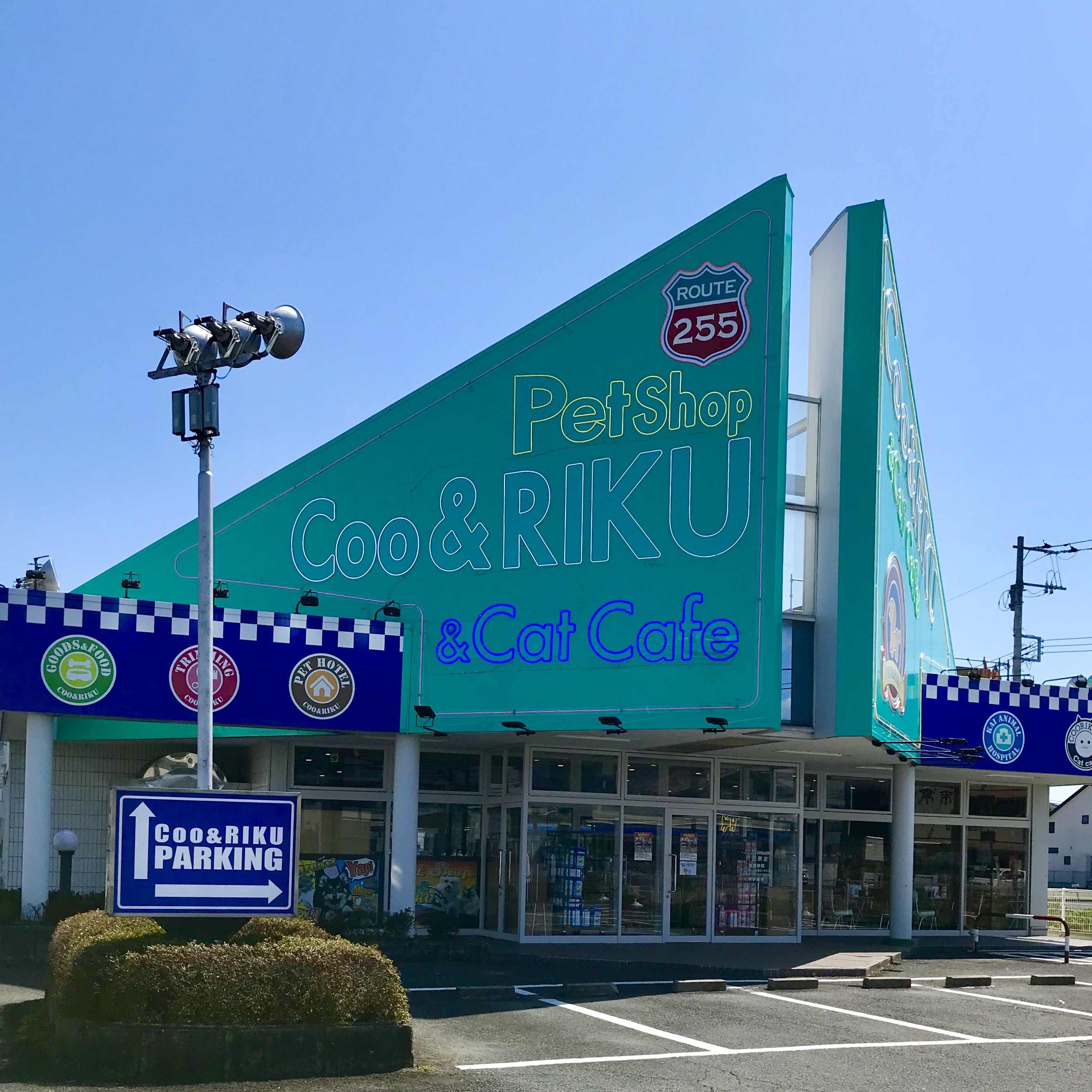 小田原ペットショップ 猫カフェ情報 ローコスト住宅 平塚 秦野 小田原 White House ホワイトハウス 神奈川県平塚 市 秦野市 小田原市でお手頃価格で新築戸建 注文住宅 中古住宅 ローコスト住宅